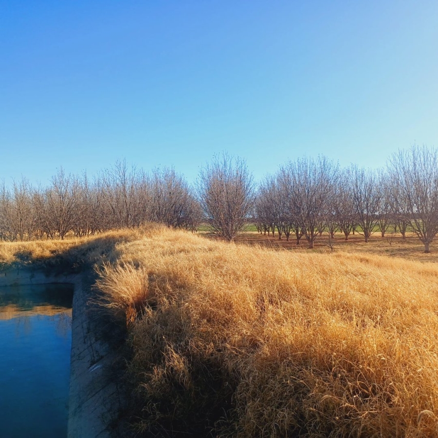  Bedroom Property for Sale in Barkly West Rural Northern Cape